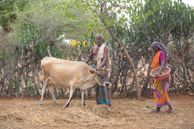 Kaaliappan - Paapayi