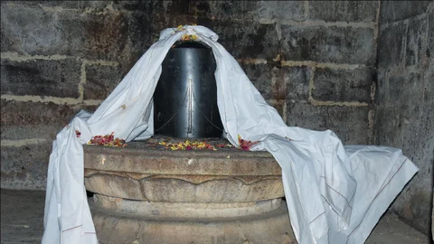 ஆபத்சகாயேஸ்வரர்