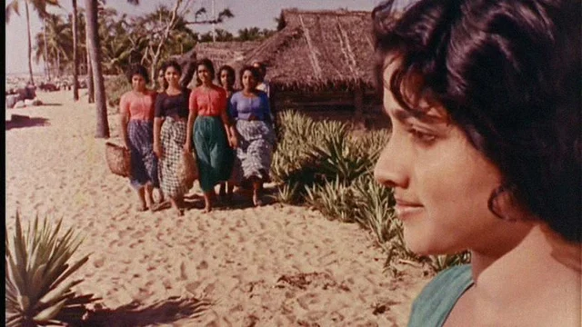 கடலினக்கரே போனோரே
