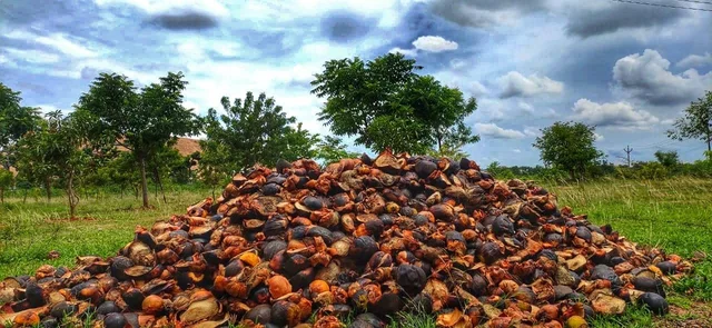 ``நாம் செய்த பிழைகளுக்கு பிராயச்சித்தம் தேட வேண்டாமா?” - நெகிழும் அன்னவாசல் இளைஞர்கள் #MyVikatan