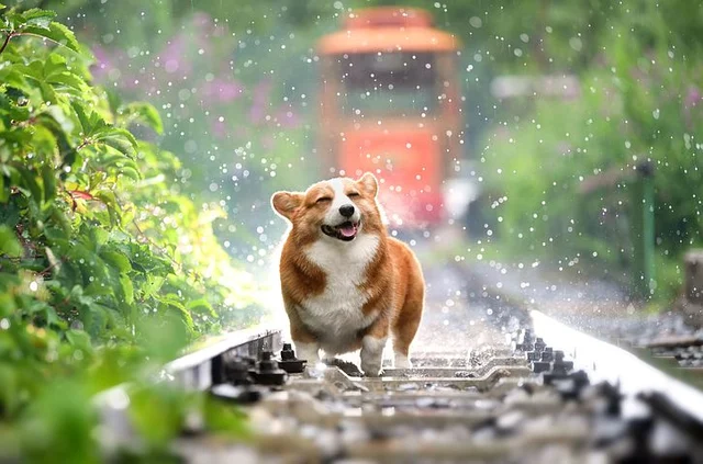 Representational Image