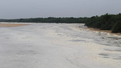 cauvery river