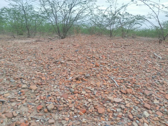 இலந்தைக்குளம்