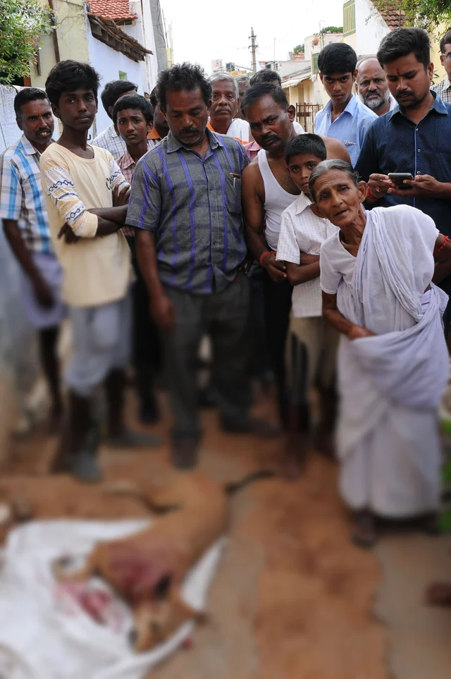 சுட்டுக்கொல்லப்பட்ட ரமேஷ்