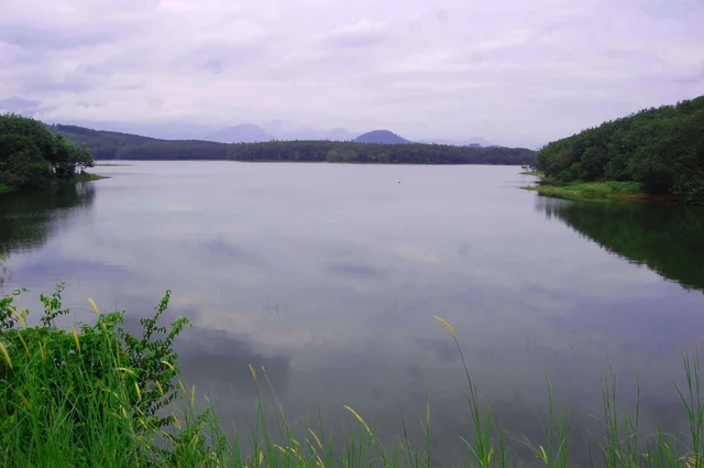 சிற்றாறு அணை வனப்பகுதி