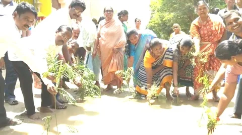 நாற்று நட்ட அரக்கோணம் மக்கள்