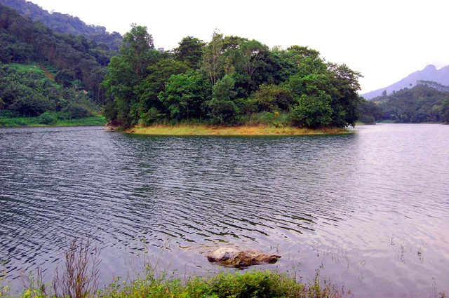 குன்னத்து மலை வனப்பகுதி
