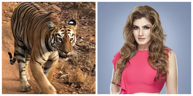 Raveena Tandon and her wildlife photography