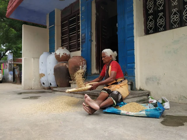 வள்ளிநாயகத்தின் பாட்டி..