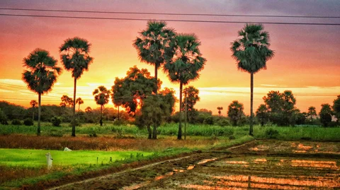 விவசாய நிலம்