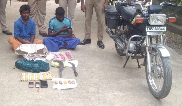 வனவிலங்குகளை வேட்டையாடியவர்கள்