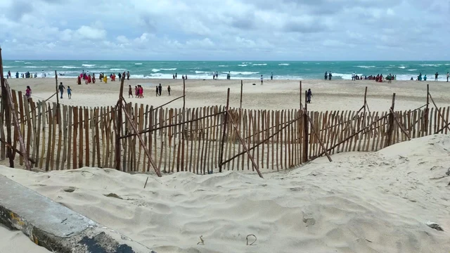 மணல் புயலைத் தடுக்க மட்டை வேலி