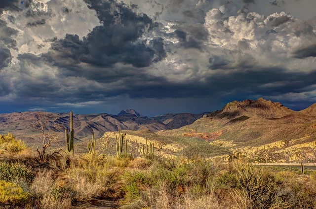 Arid Land
