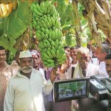 Zero Budget Farming