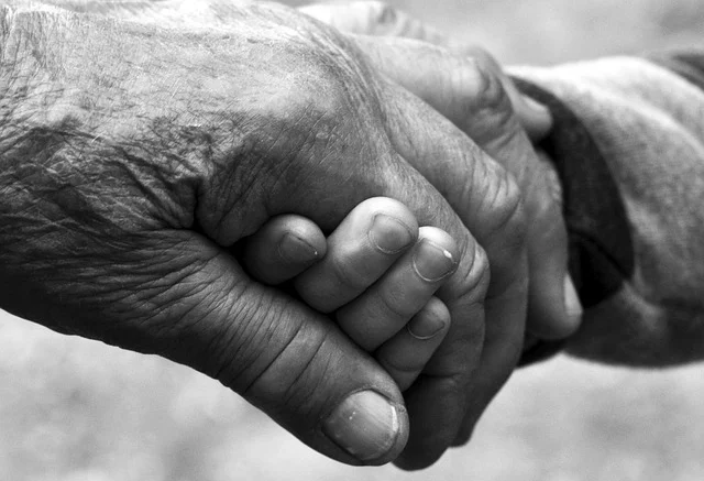 Elder