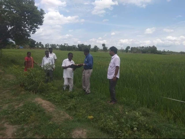 வெட்டுக்குளம் ஆய்வுப்பணி