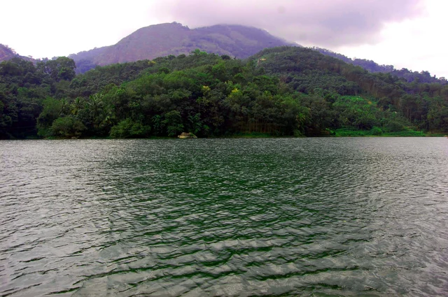 குன்னத்து மலை வனப்பகுதி