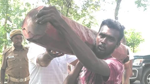 செம்மரக் கட்டை