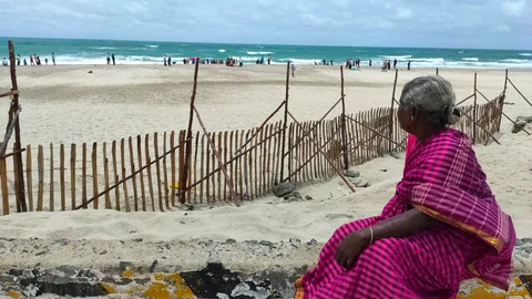 அரிச்சல் முனையில் உள்ள பனைமட்டை வேலி.