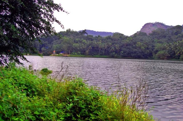 குன்னத்து மலை வனப்பகுதி