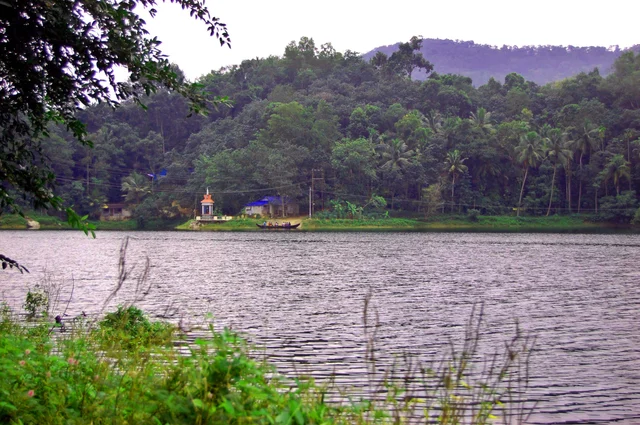 குன்னத்து மலை வனப்பகுதி