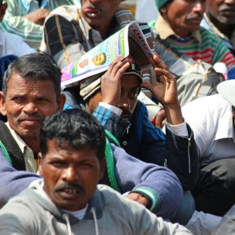 North Indians