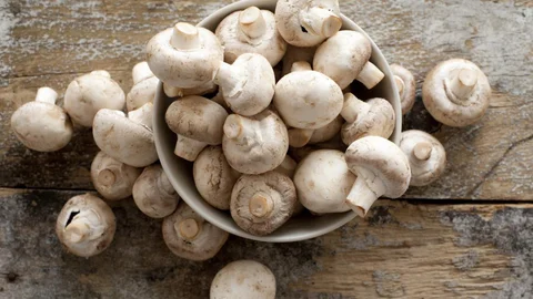 Mushroom