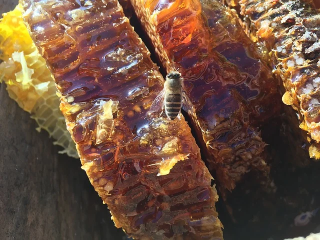 Honey