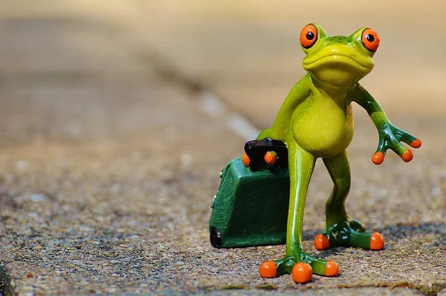 frog