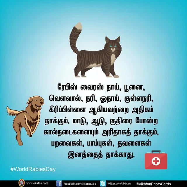#WorldRabiesDay