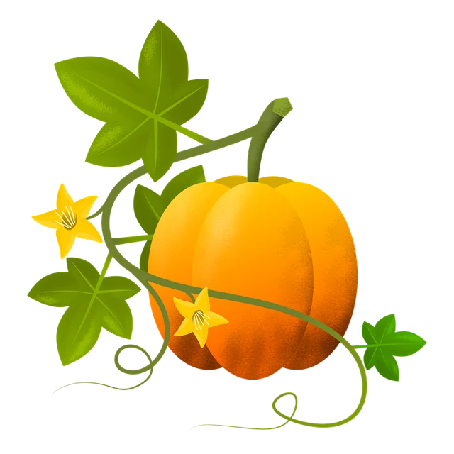 pumpkin
