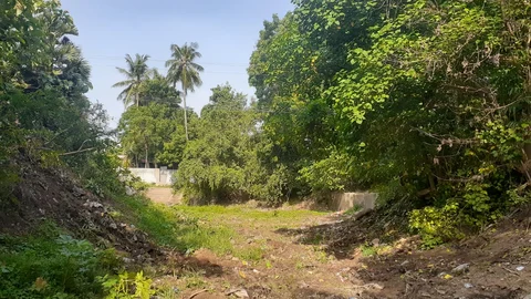 கொள்ளிடம்