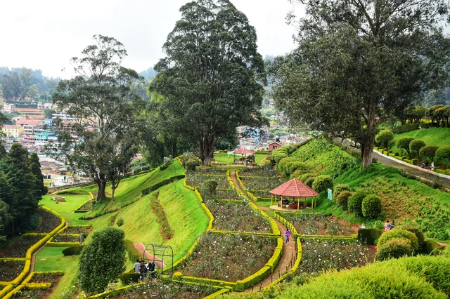 Ooty Rose Garden