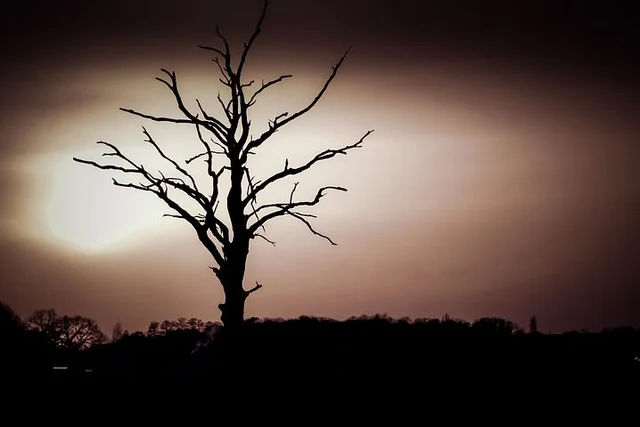 Representational Image