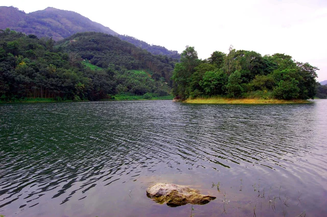 குன்னத்து மலை வனப்பகுதி