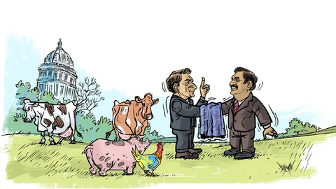 Cartoon