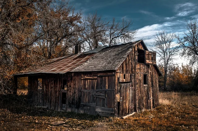 Representational Image