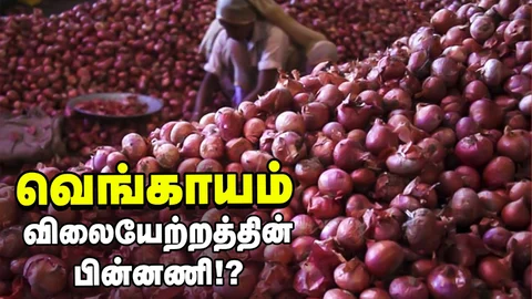Onion Price Hike