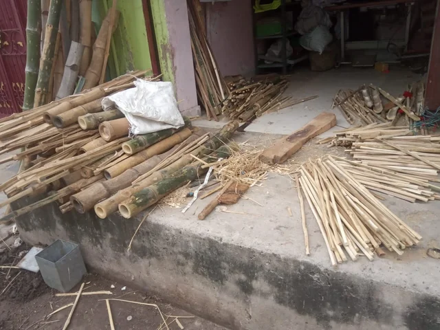 Bamboo