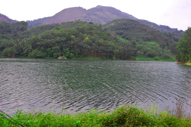 குன்னத்து மலை வனப்பகுதி