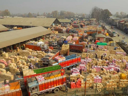 Kashmir Apple Lorries