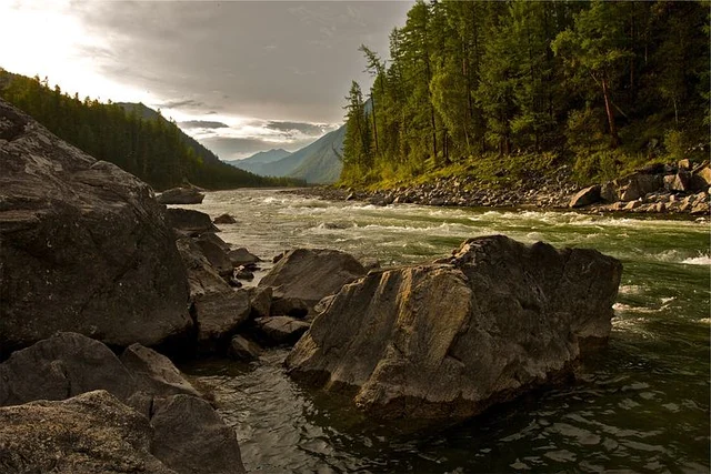 Representational Image