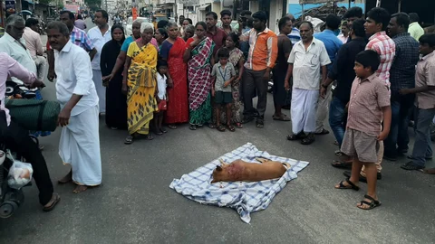 சுட்டுக்கொல்லப்பட்ட ரமேஷ் என்னும் நாய்