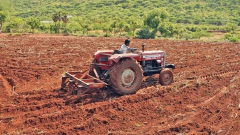 agriculture