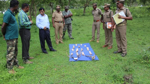 Mudumalai