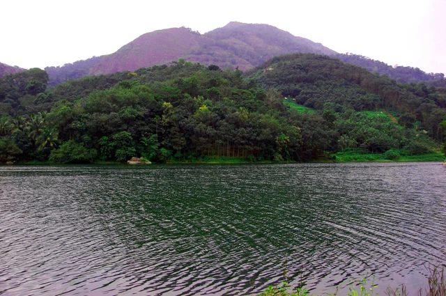 குன்னத்து மலை வனப்பகுதி