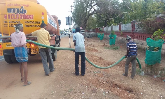 மரக்கன்றுகள்