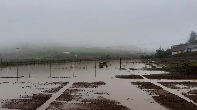 Ooty flood