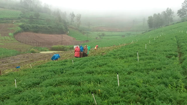 Ooty flood
