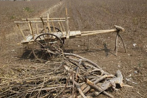 கருகிப் போன விவசாய நிலம்